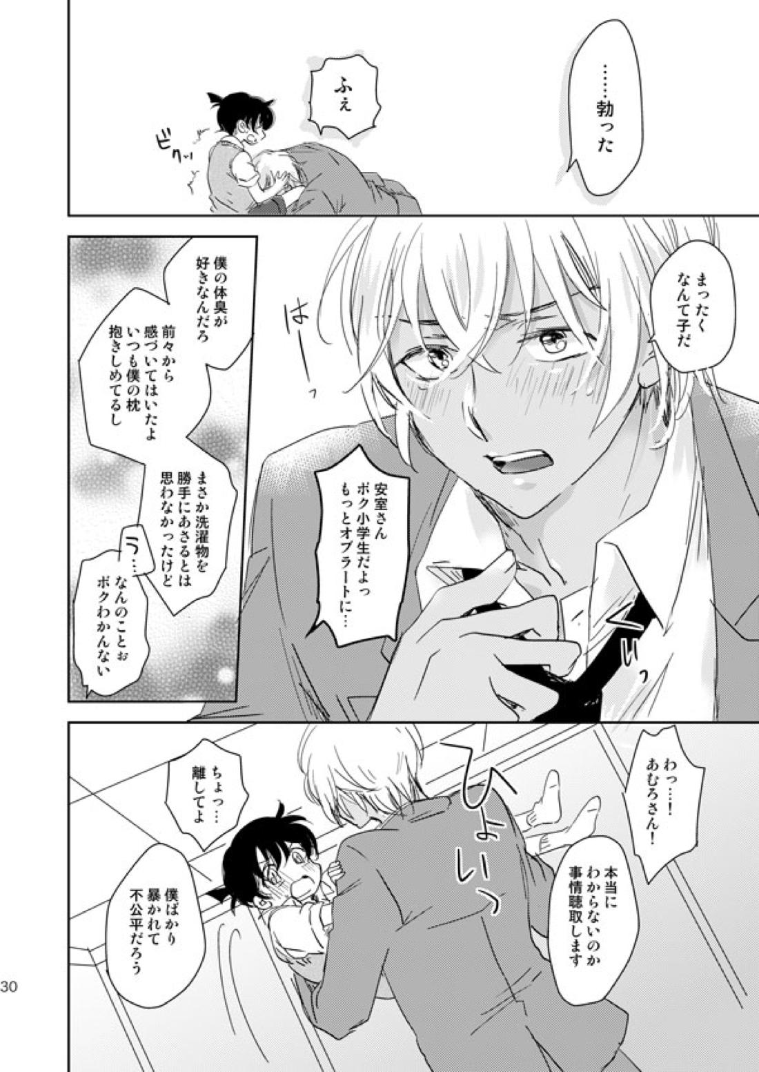 星をつかまえた夜のこと【名探偵コナン/降コ】 page 27