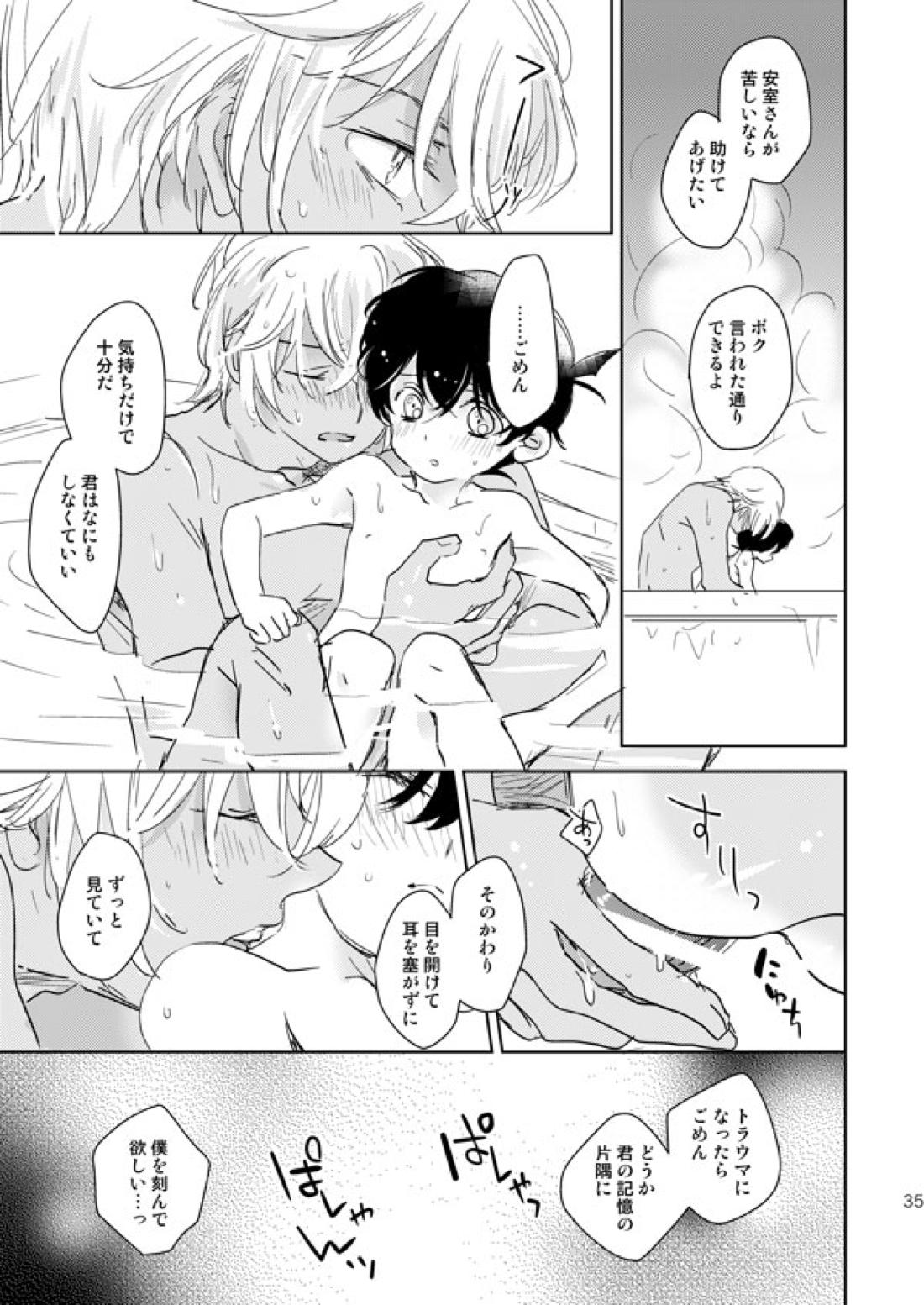 星をつかまえた夜のこと【名探偵コナン/降コ】 page 32