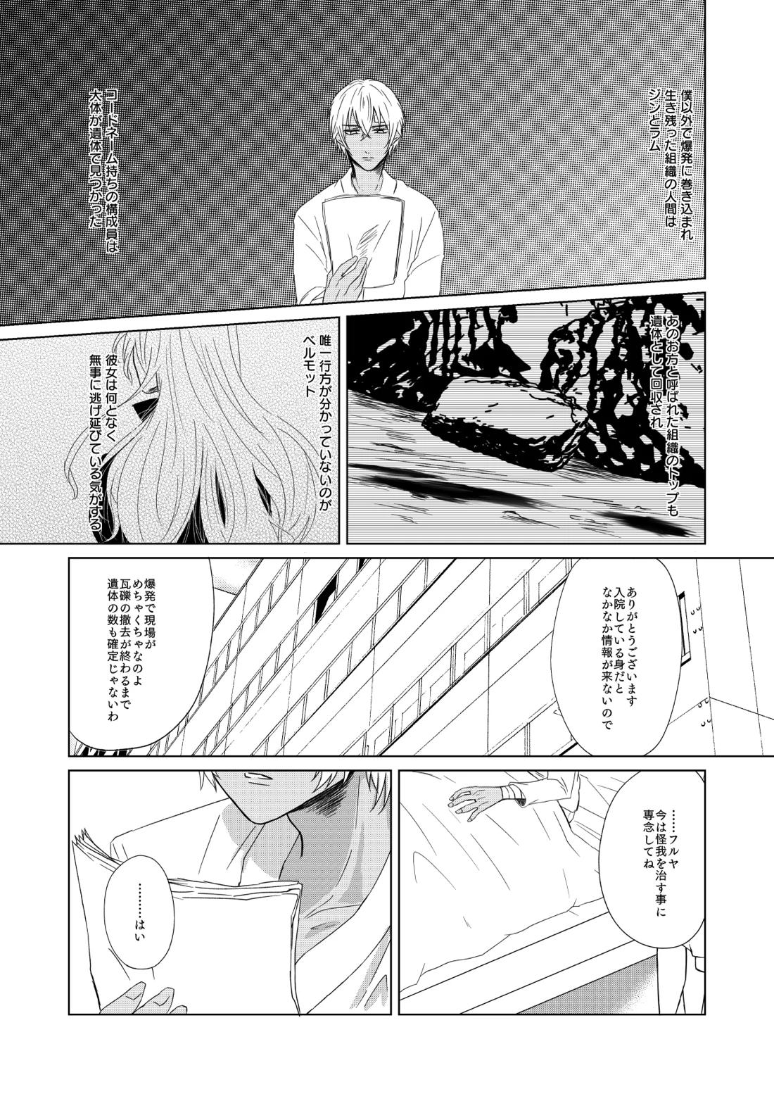 赦されたい【名探偵コナン/赤降(赤井×降谷)】 page 16