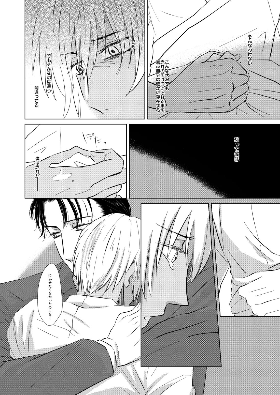 赦されたい【名探偵コナン/赤降(赤井×降谷)】 page 29