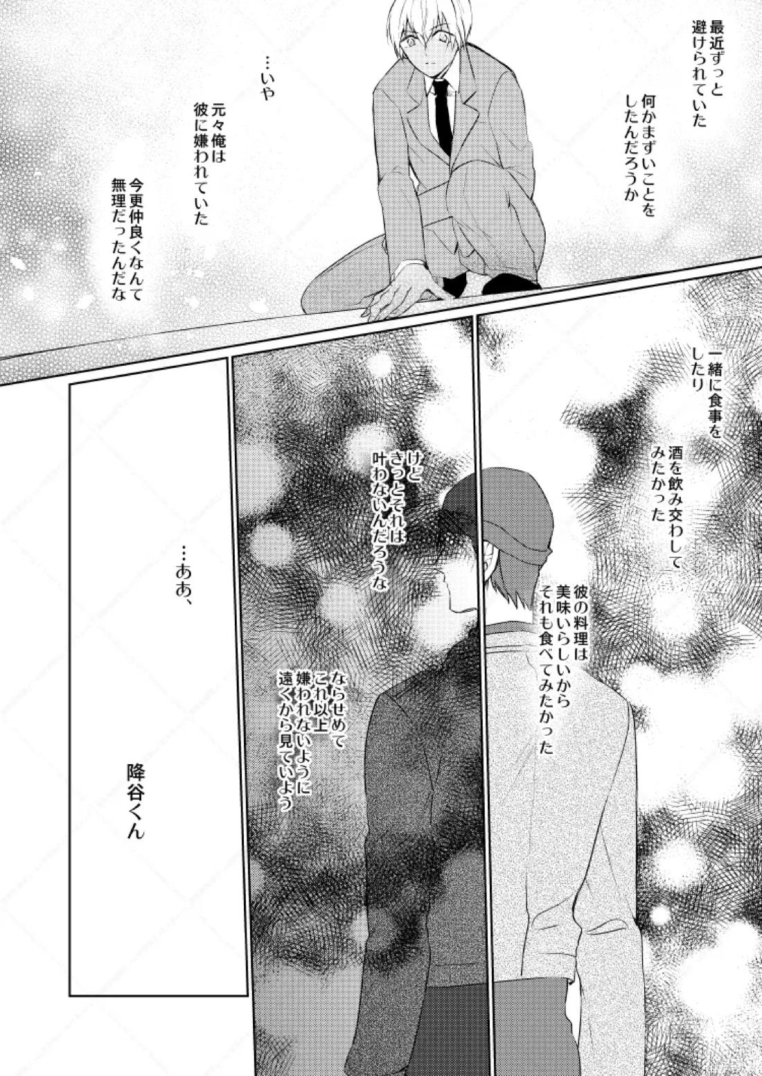 HearHearHeard【名探偵コナン/赤降(赤井×降谷)】 page 18