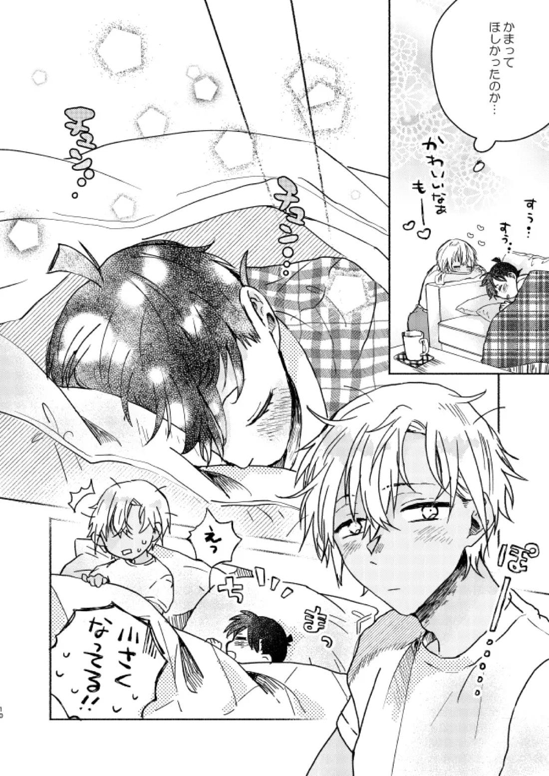 愛しのサンクチュアリ【名探偵コナン/降新(降新)】 page 11