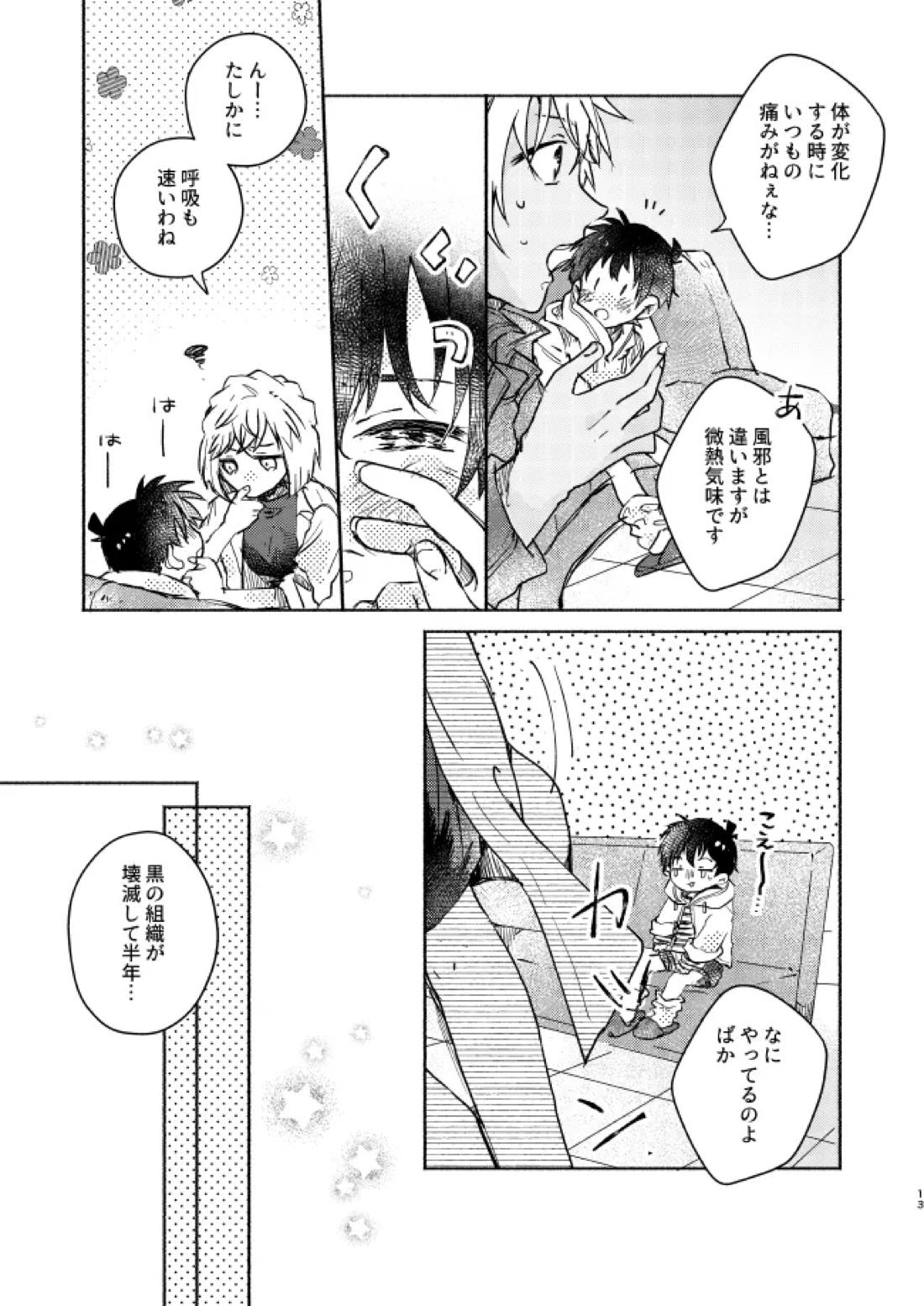 愛しのサンクチュアリ【名探偵コナン/降新(降新)】 page 14
