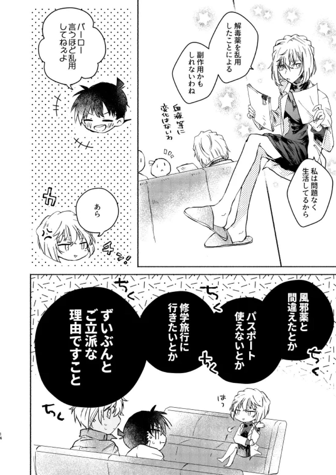 愛しのサンクチュアリ【名探偵コナン/降新(降新)】 page 15