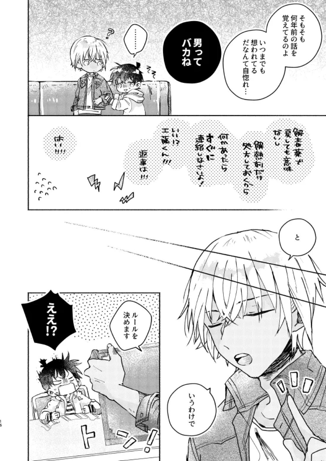 愛しのサンクチュアリ【名探偵コナン/降新(降新)】 page 17