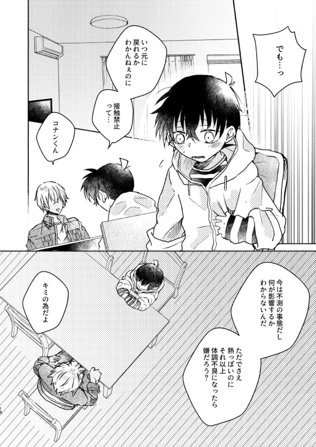 愛しのサンクチュアリ【名探偵コナン/降新(降新)】 page 19