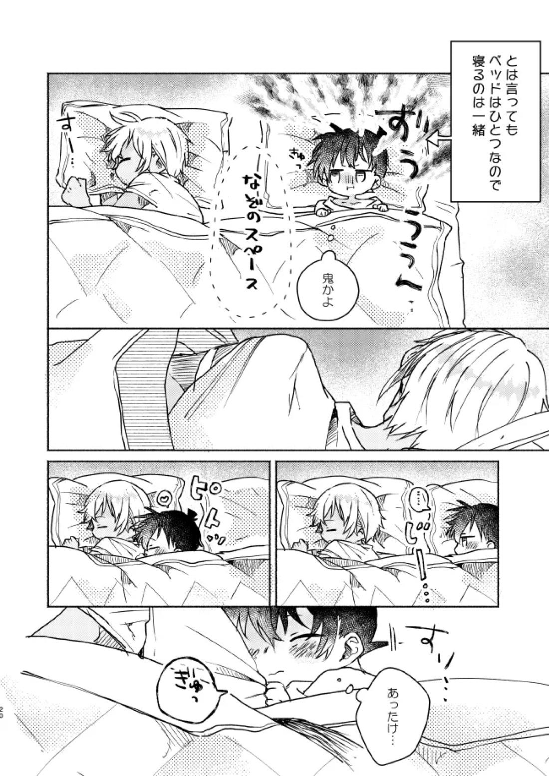愛しのサンクチュアリ【名探偵コナン/降新(降新)】 page 21