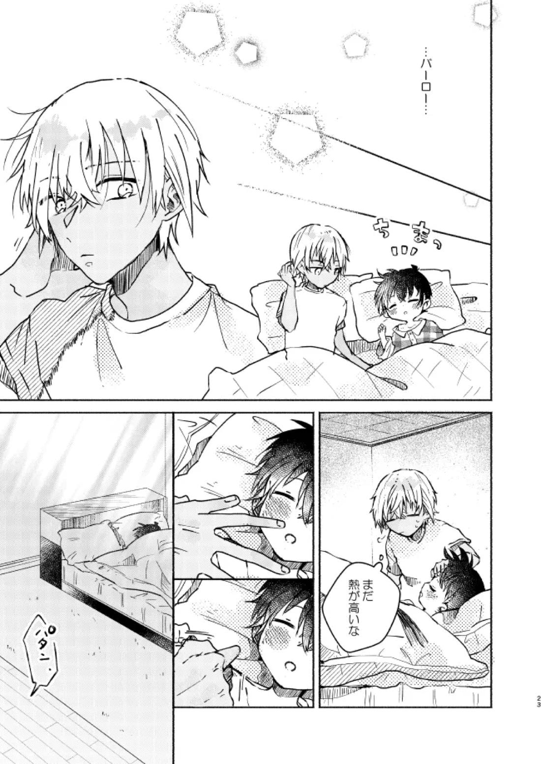 愛しのサンクチュアリ【名探偵コナン/降新(降新)】 page 24