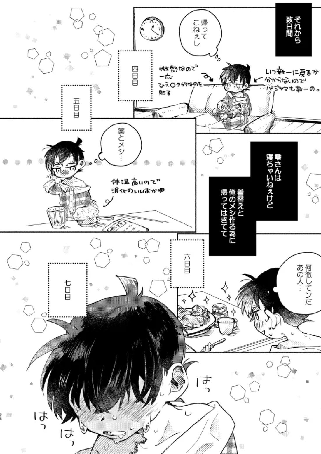 愛しのサンクチュアリ【名探偵コナン/降新(降新)】 page 25