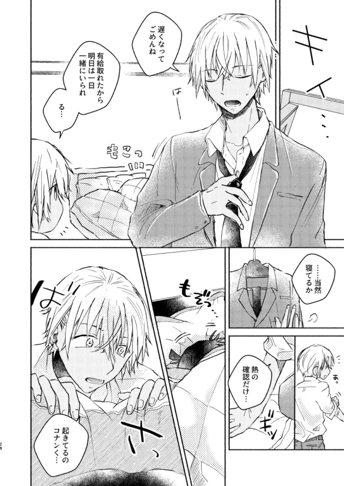愛しのサンクチュアリ【名探偵コナン/降新(降新)】 page 29
