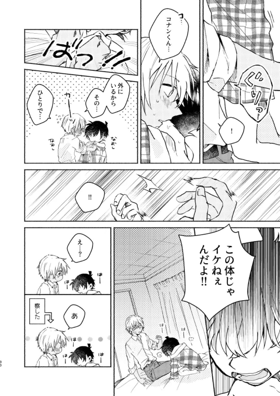 愛しのサンクチュアリ【名探偵コナン/降新(降新)】 page 31