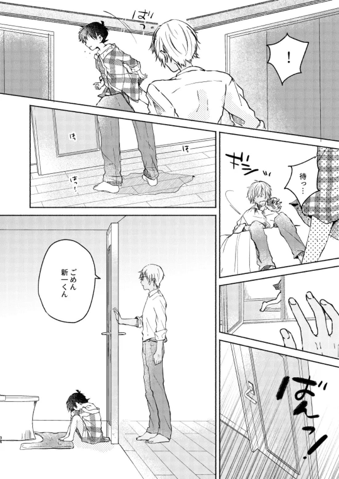 愛しのサンクチュアリ【名探偵コナン/降新(降新)】 page 35