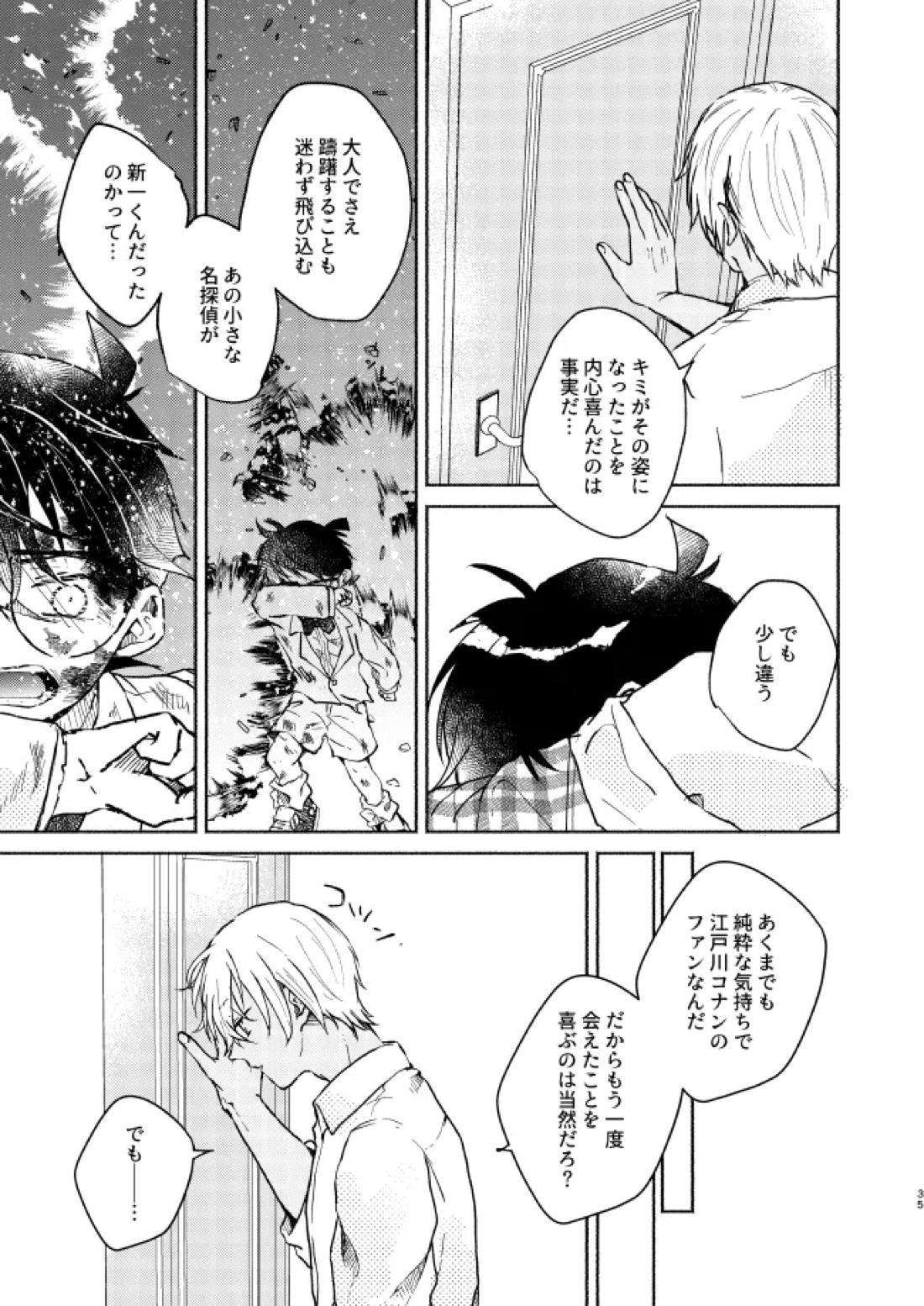 愛しのサンクチュアリ【名探偵コナン/降新(降新)】 page 36