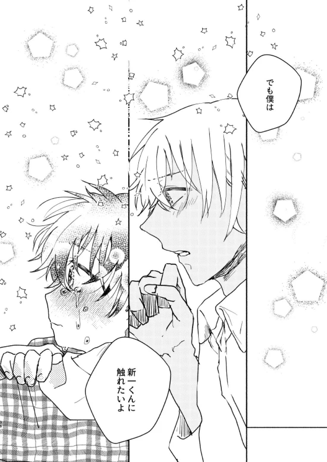 愛しのサンクチュアリ【名探偵コナン/降新(降新)】 page 37