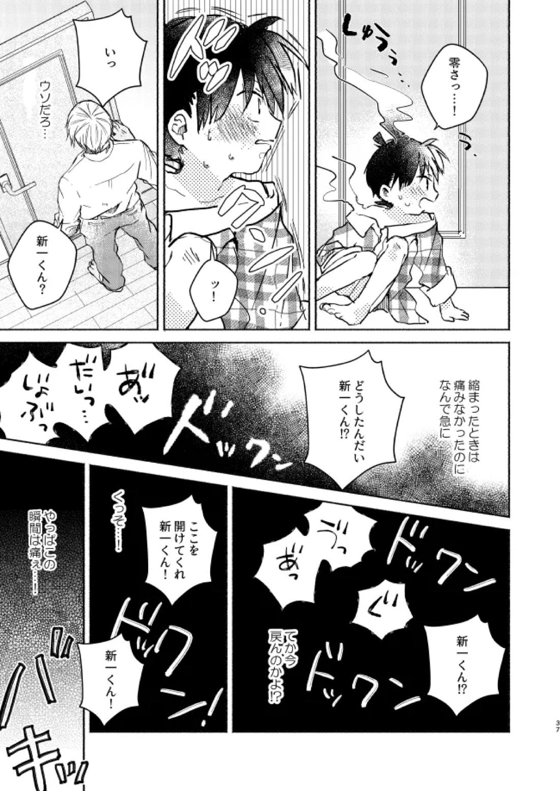 愛しのサンクチュアリ【名探偵コナン/降新(降新)】 page 38