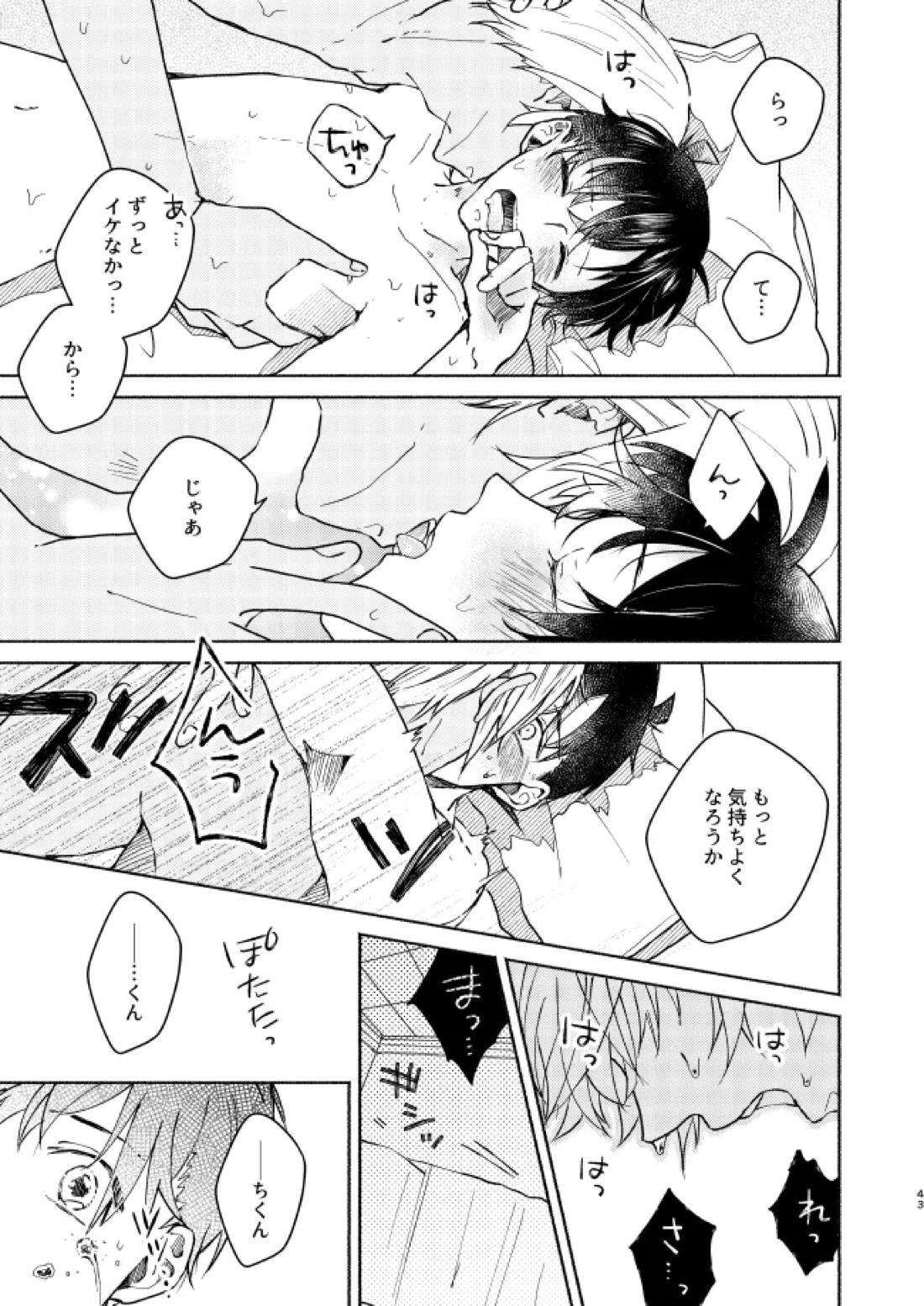 愛しのサンクチュアリ【名探偵コナン/降新(降新)】 page 44