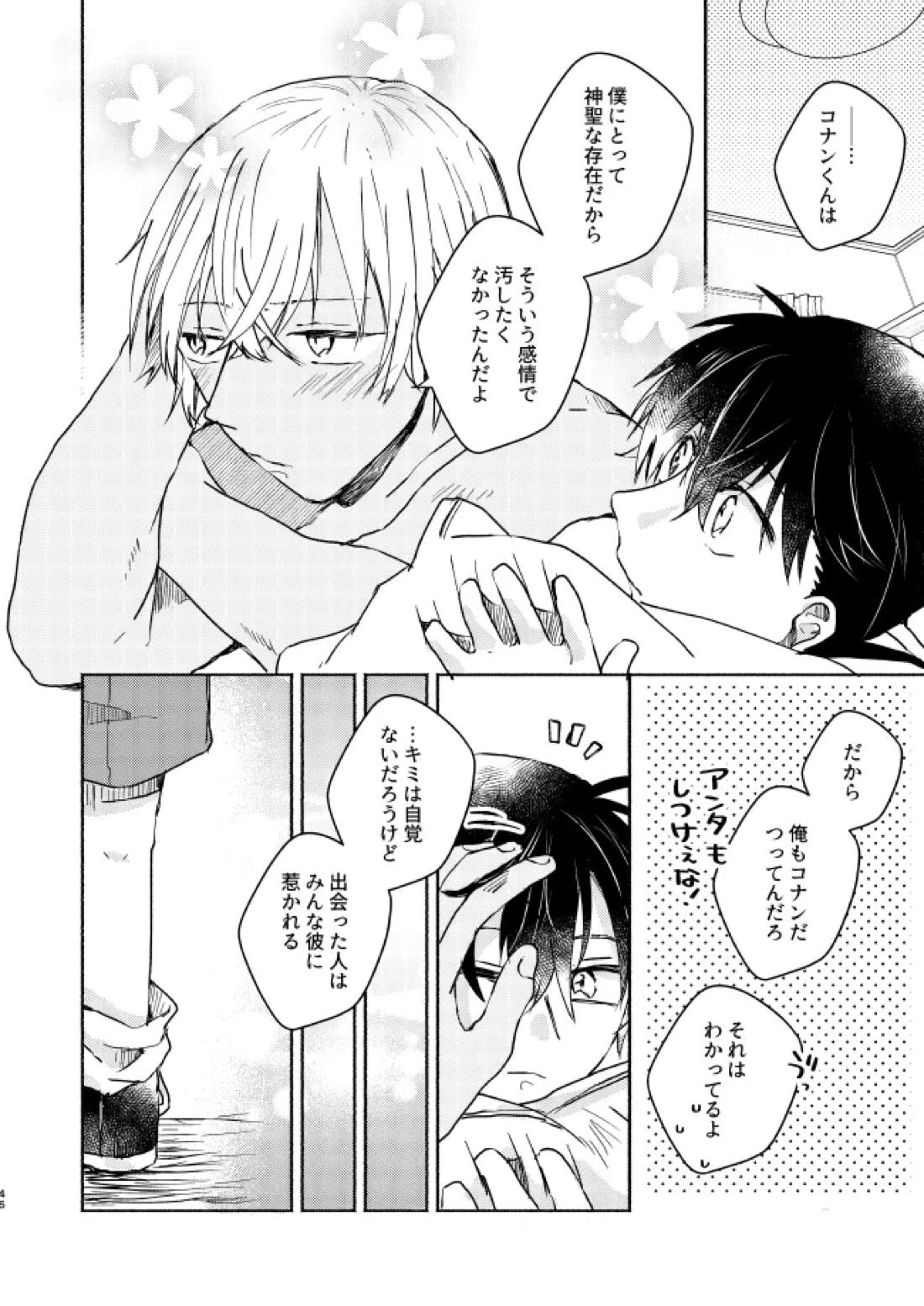 愛しのサンクチュアリ【名探偵コナン/降新(降新)】 page 47