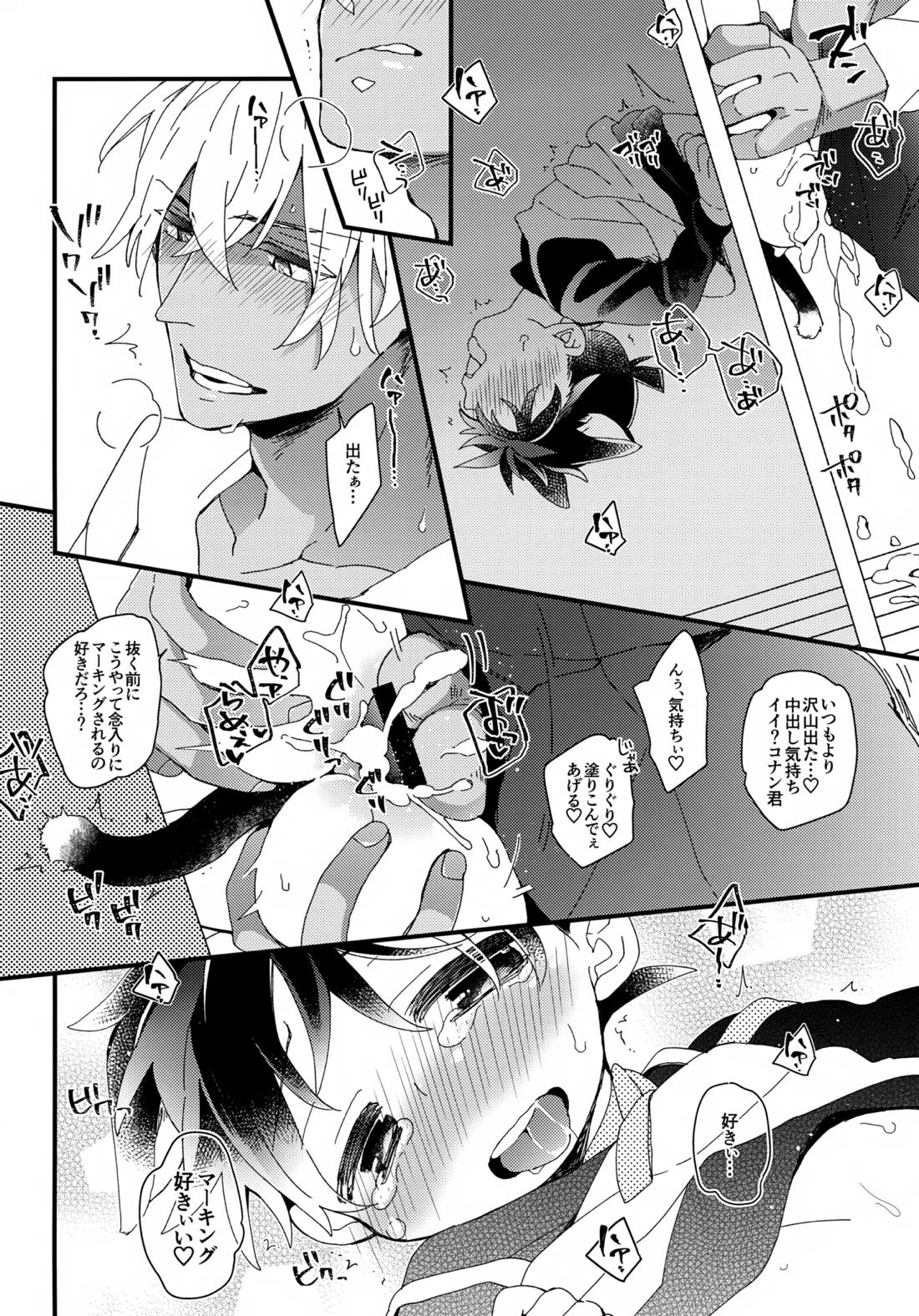 愛ねこが小穴に挟まりまして【名探偵コナン/降コ】 page 21