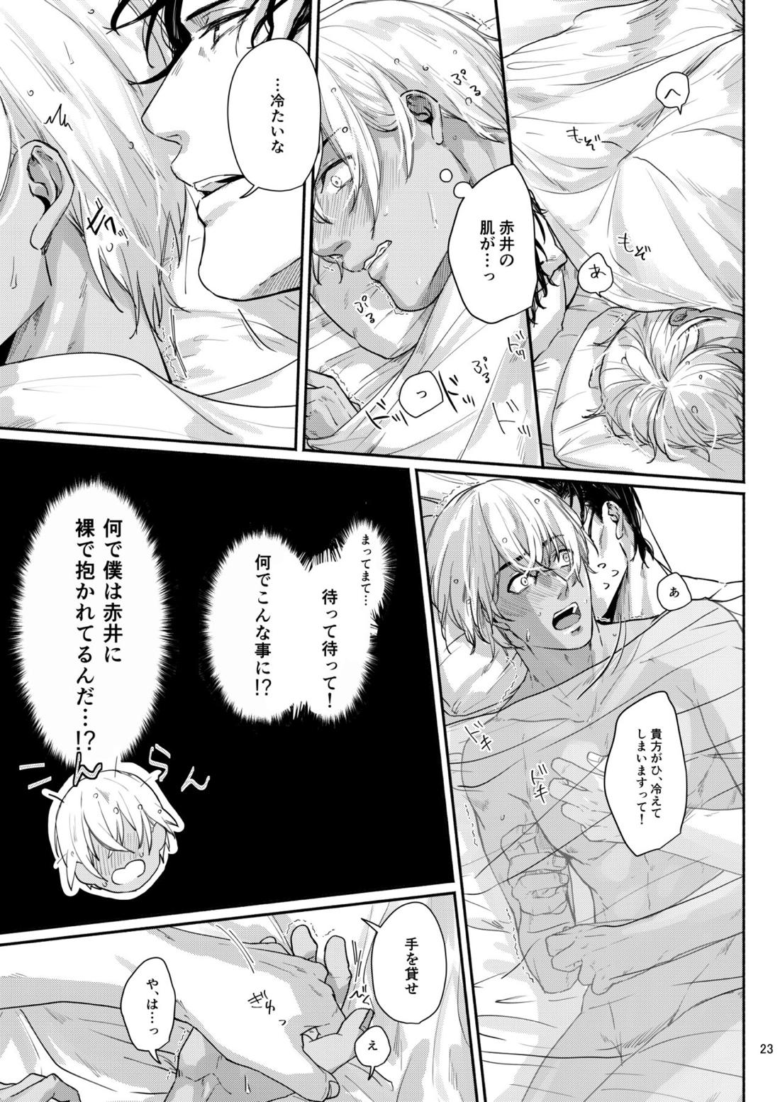 これはぜんぶ不可抗力【名探偵コナン/赤降(赤井×降谷)】 page 21