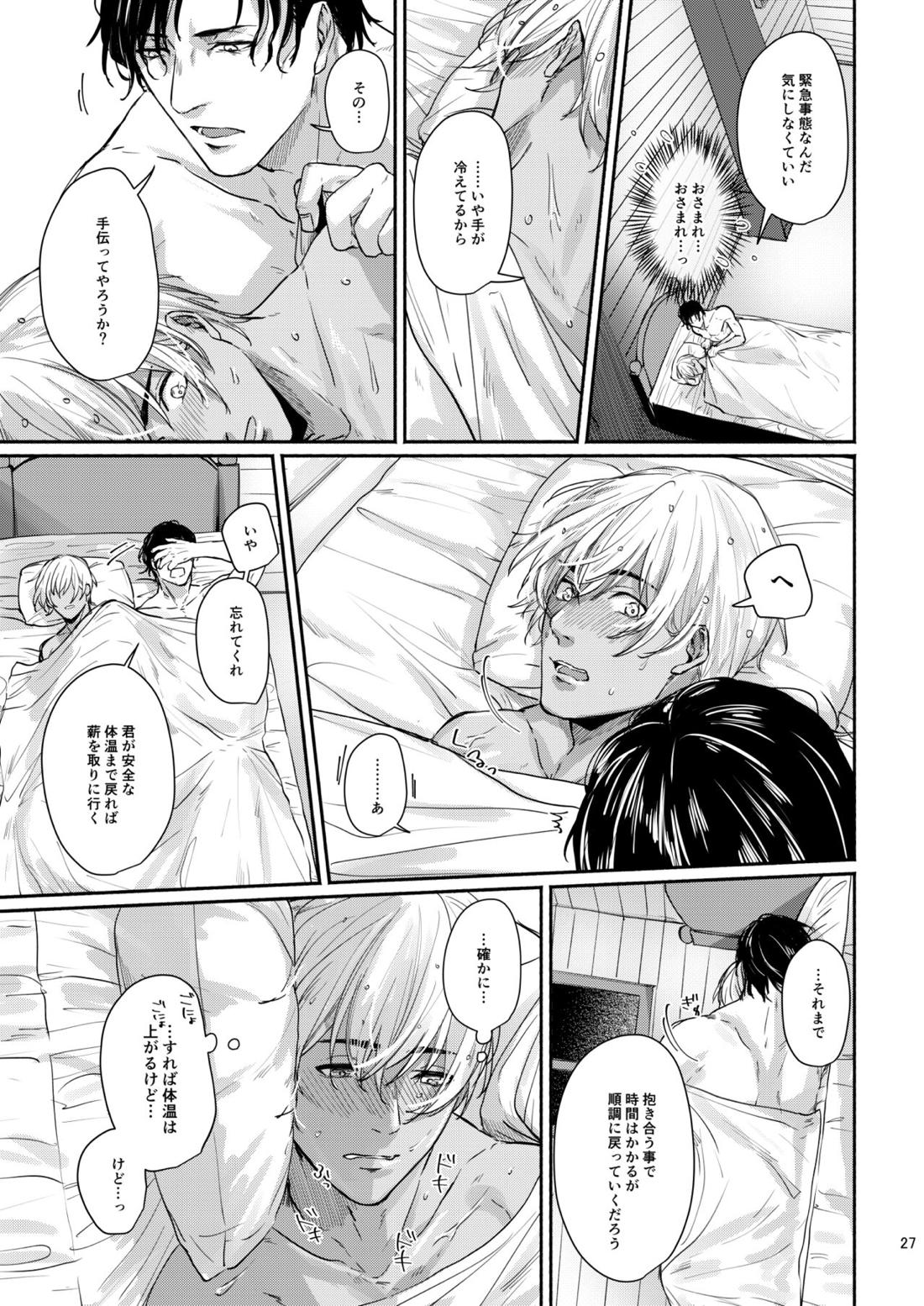 これはぜんぶ不可抗力【名探偵コナン/赤降(赤井×降谷)】 page 25