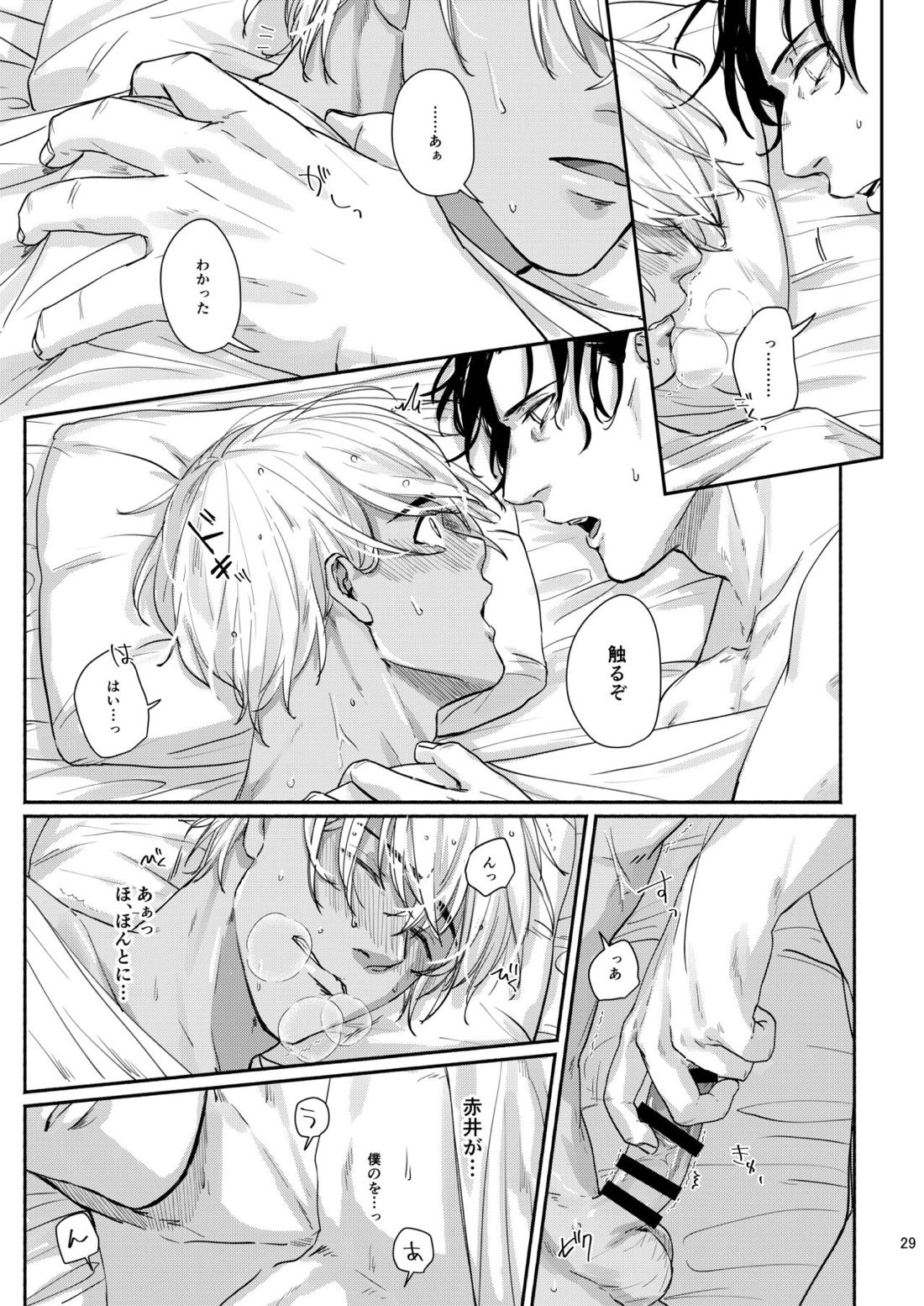 これはぜんぶ不可抗力【名探偵コナン/赤降(赤井×降谷)】 page 27