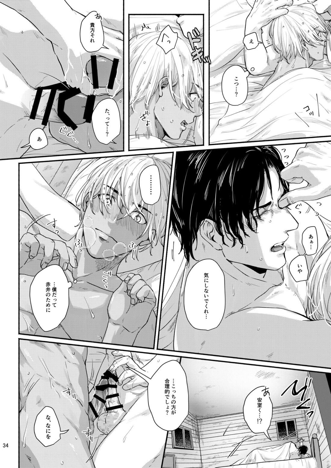 これはぜんぶ不可抗力【名探偵コナン/赤降(赤井×降谷)】 page 32