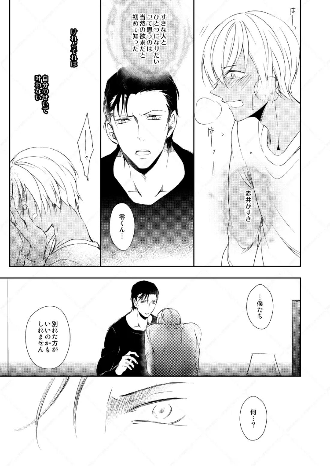 心だけでは物足りない【名探偵コナン/赤降(赤井×降谷)】 page 24