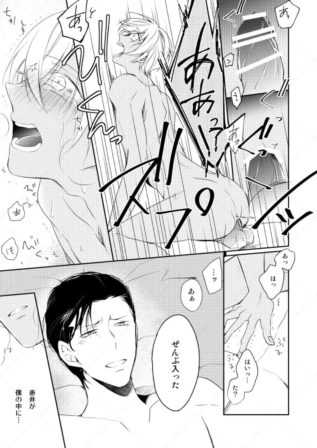 心だけでは物足りない【名探偵コナン/赤降(赤井×降谷)】 page 48