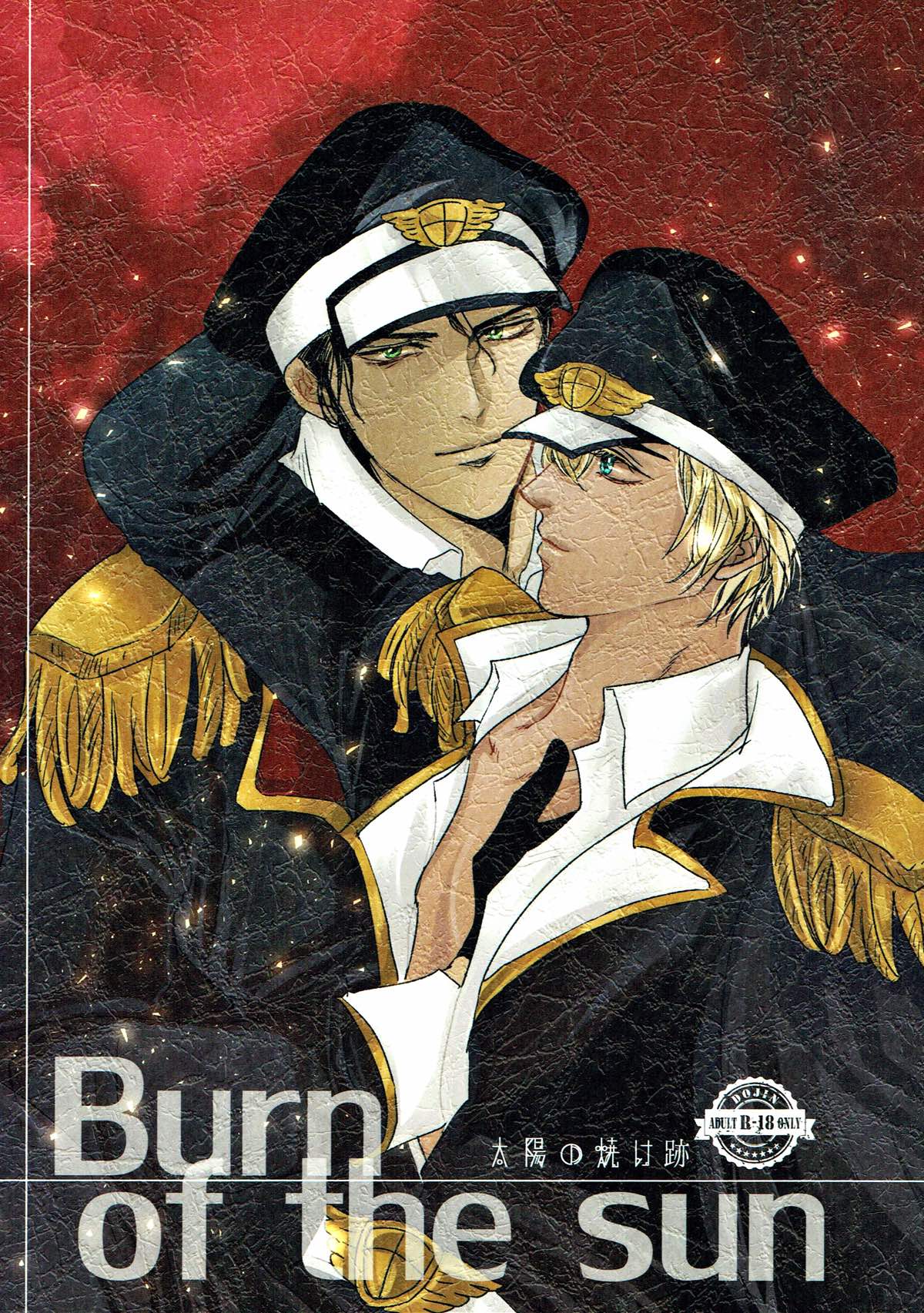Recommended BL manga "Burn of the sun【名探偵コナン/赤降(赤井×降谷)】" cover image
