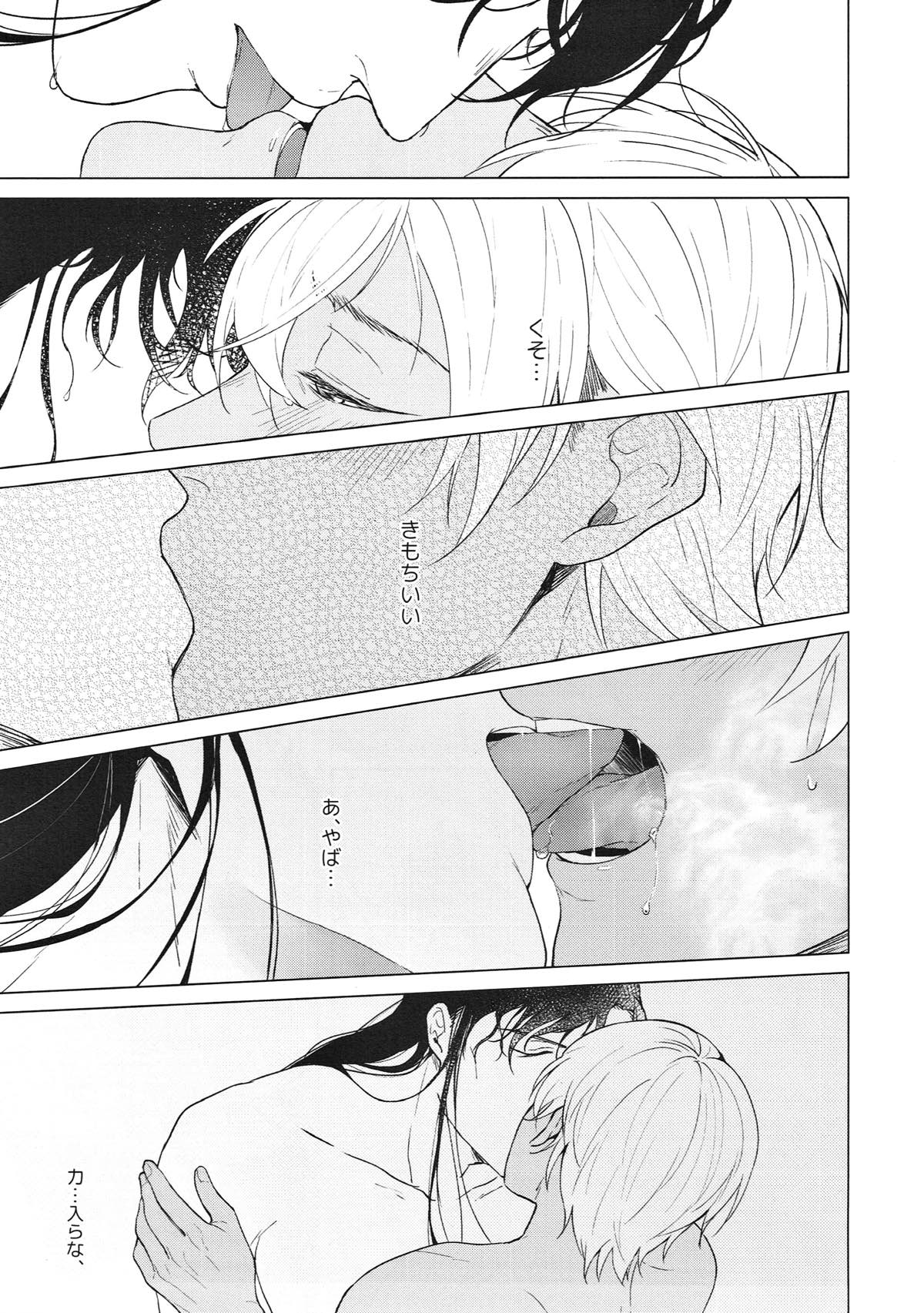 synergy【名探偵コナン/赤降(赤井×降谷)】 page 12