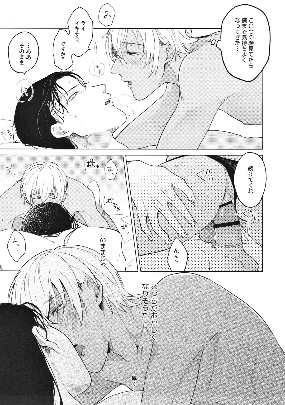synergy【名探偵コナン/赤降(赤井×降谷)】 page 24