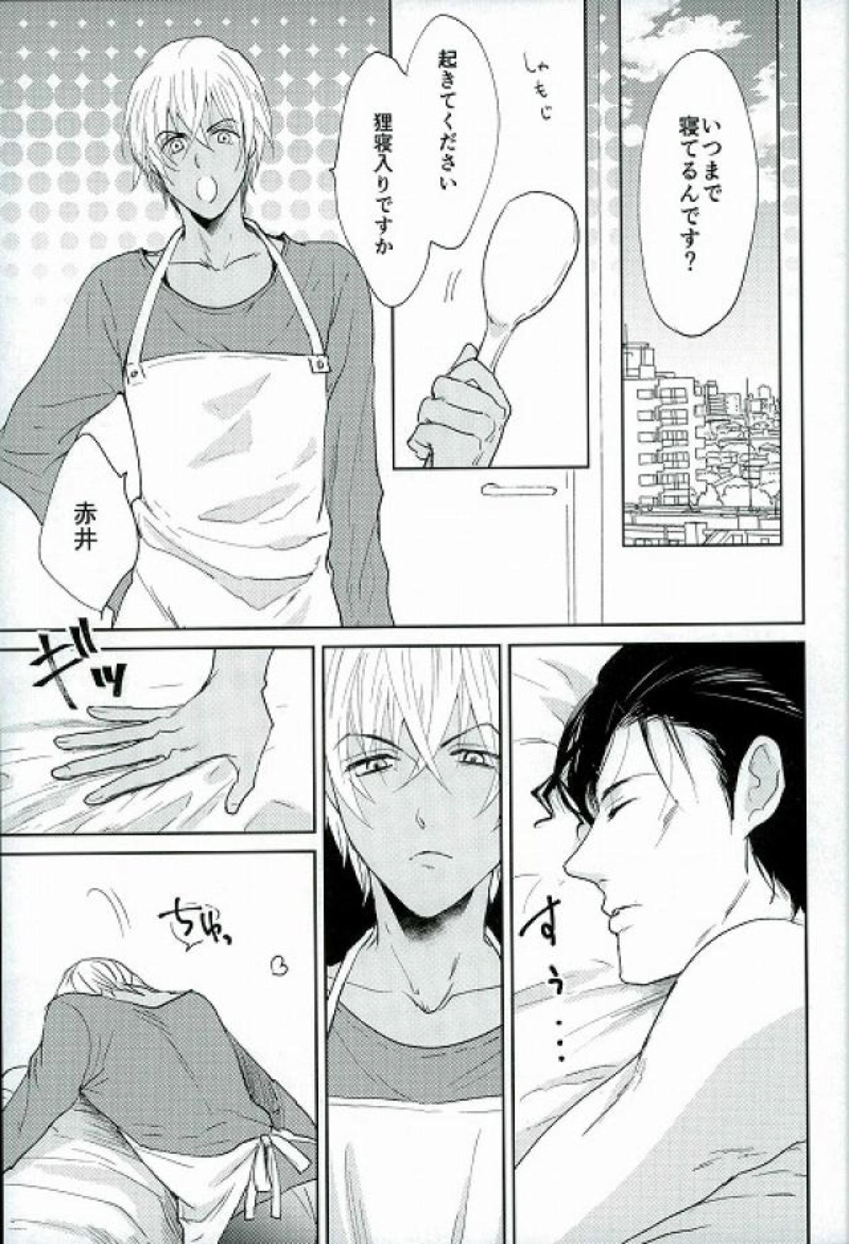 いまから一個ウソいうけど【名探偵コナン/赤降(赤井×降谷)】 page 28
