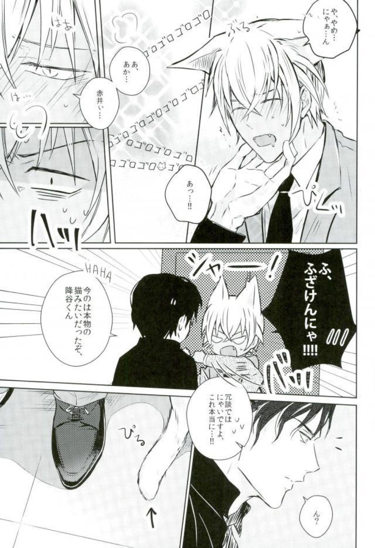 致命的な魅力!【名探偵コナン/降赤】 page 14