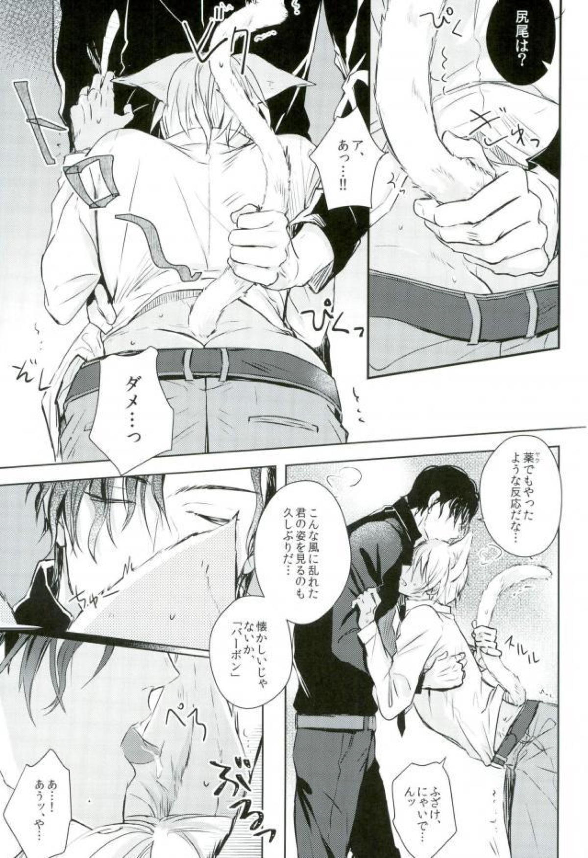 致命的な魅力!【名探偵コナン/降赤】 page 18
