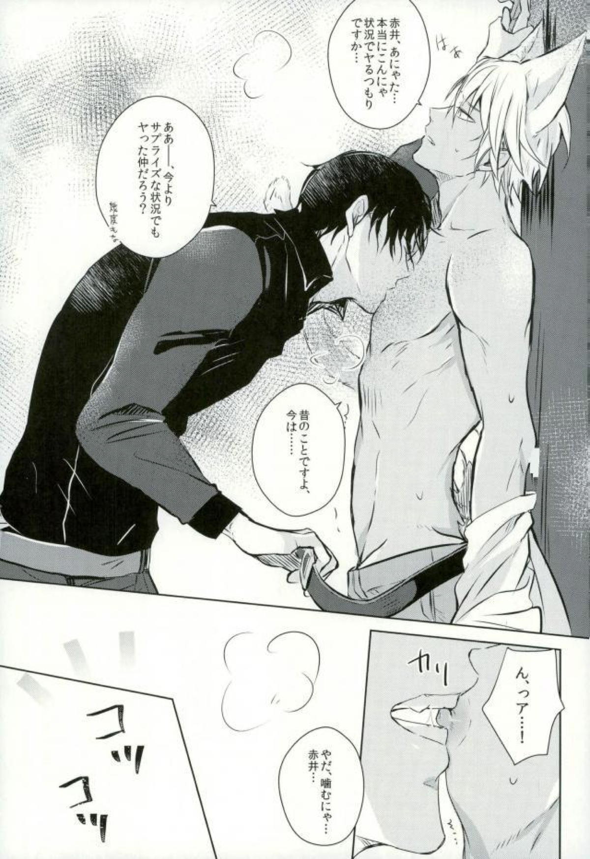 致命的な魅力!【名探偵コナン/降赤】 page 20