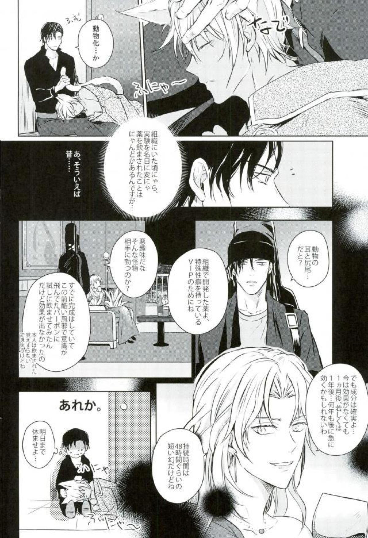 致命的な魅力!【名探偵コナン/降赤】 page 27