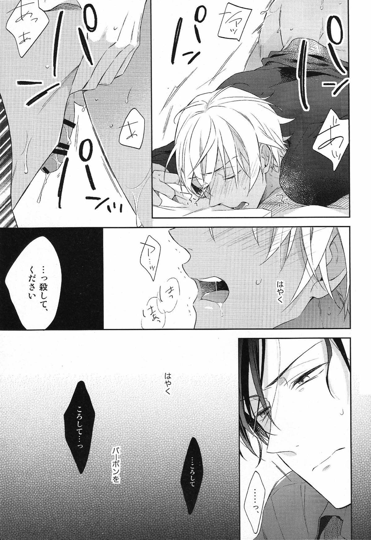 縋る迷妄【名探偵コナン/赤降(赤井×降谷)】 page 24