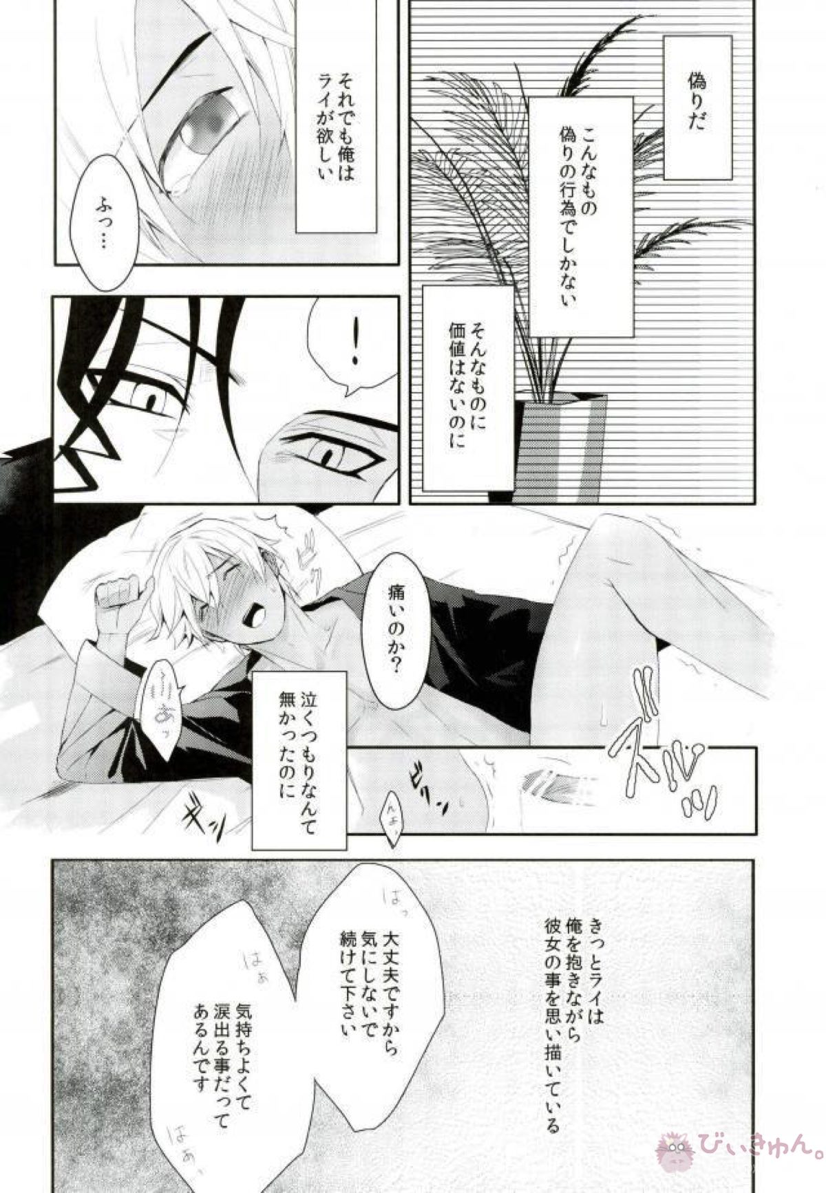 嘘をついてもアナタが欲しい【名探偵コナン/赤降(赤井×降谷)】 page 11
