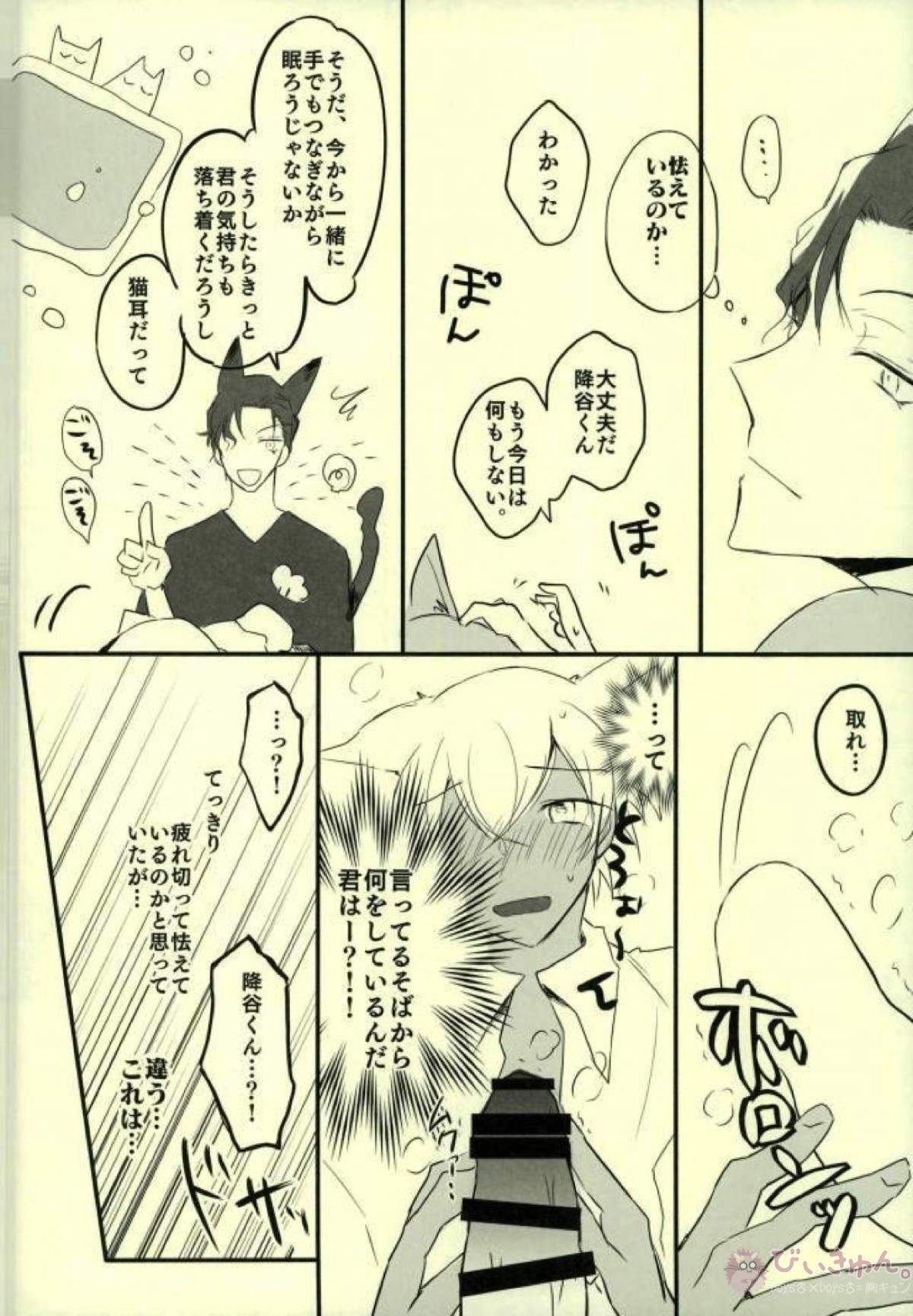 ケダモノウイルス【名探偵コナン/赤降(赤井×降谷)】 page 13
