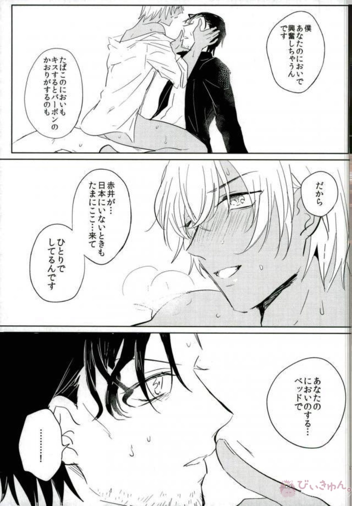 恋はけだもの【名探偵コナン/赤降(赤井×降谷)】 page 18