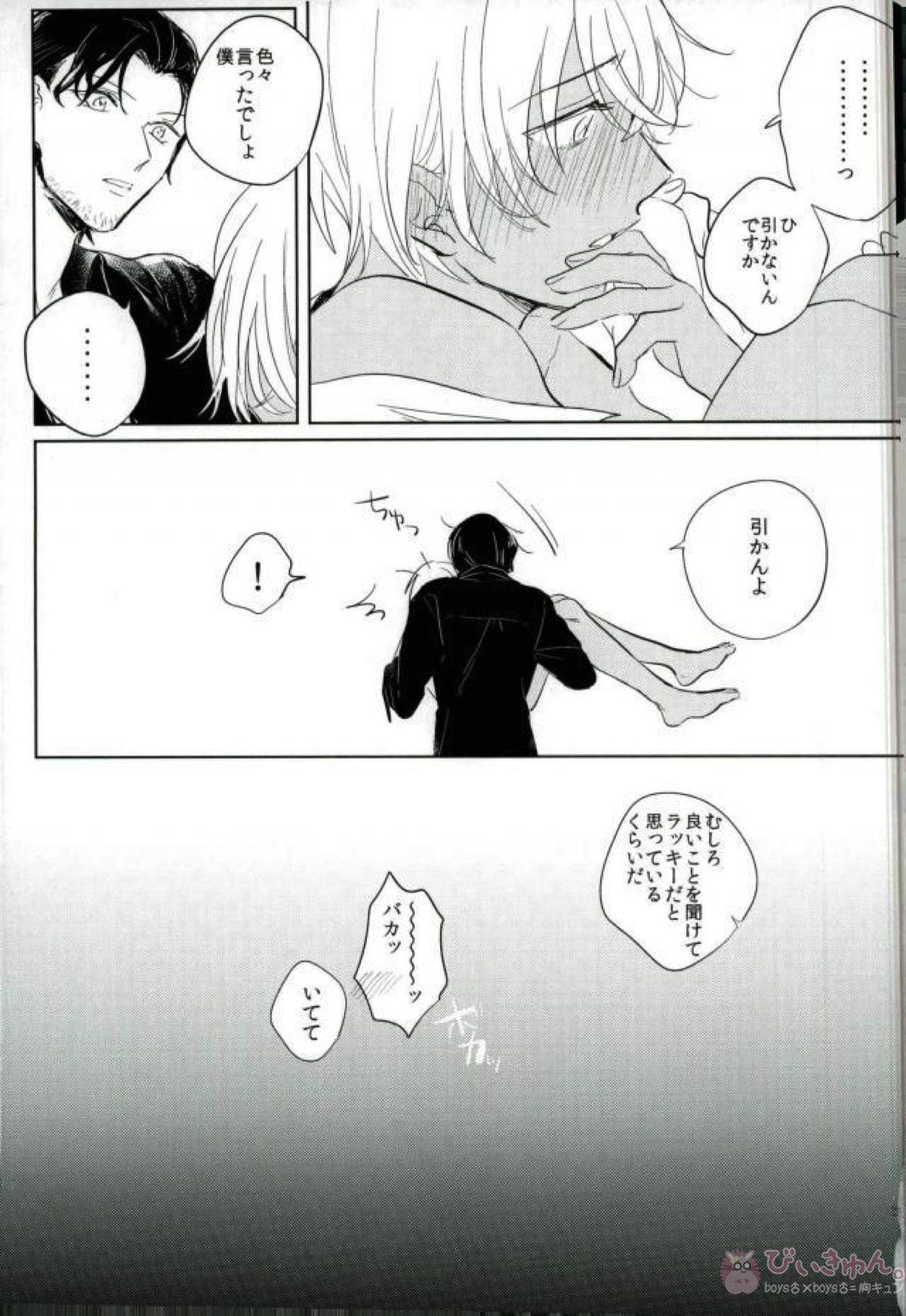恋はけだもの【名探偵コナン/赤降(赤井×降谷)】 page 24