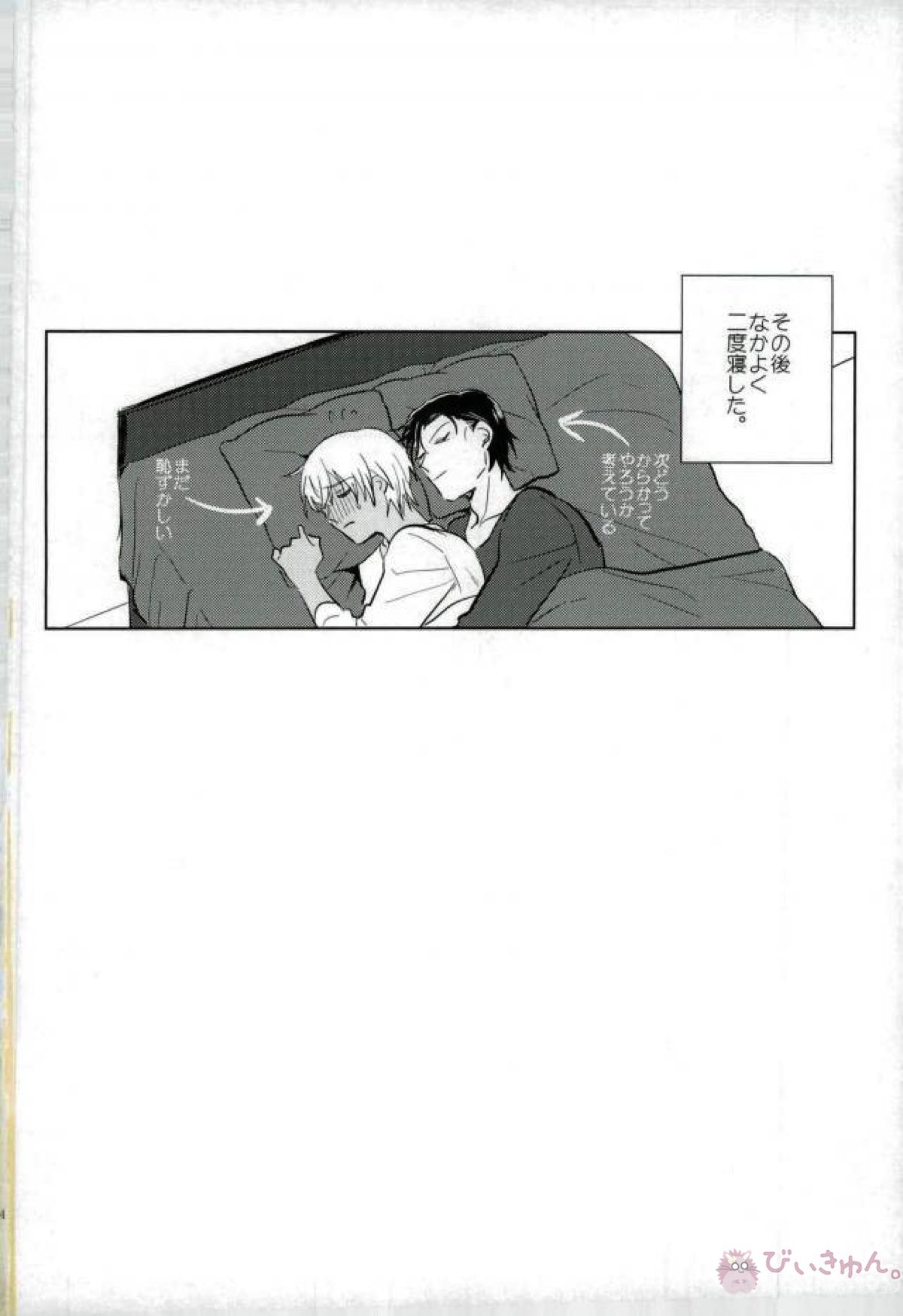 恋はけだもの【名探偵コナン/赤降(赤井×降谷)】 page 25