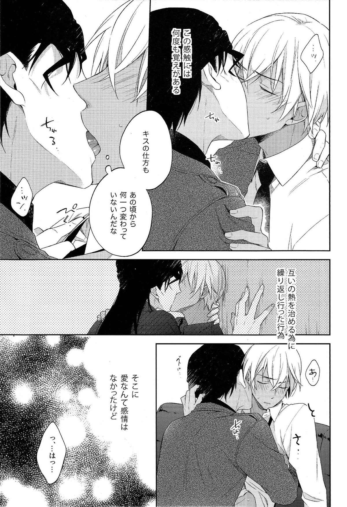 第一信号系パラドックス【名探偵コナン/赤降(赤井×降谷)】 page 14