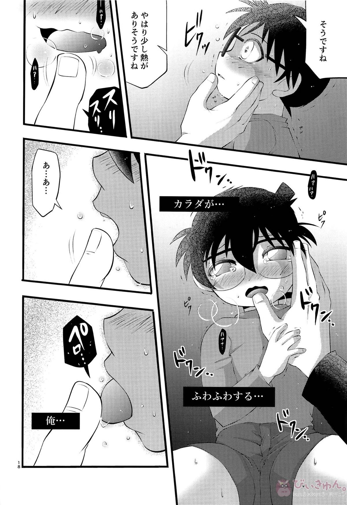 堕【名探偵コナン/昴コ】 page 17