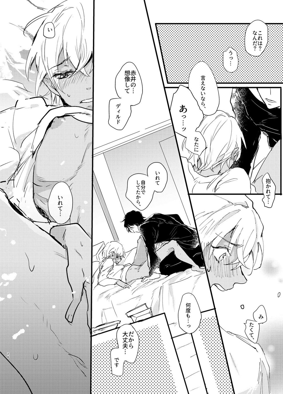 エンドロールは夢のあとに。【名探偵コナン/赤降(赤井×降谷)】 page 25