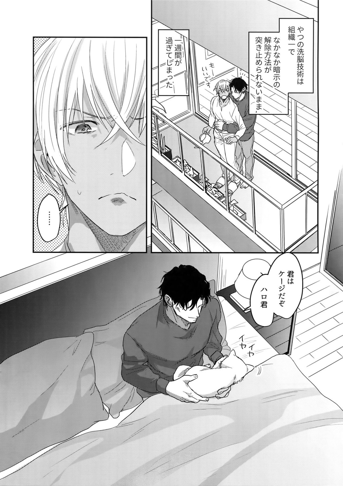 あ…赤井の××ください！【名探偵コナン/赤降(赤井×降谷)】 page 12
