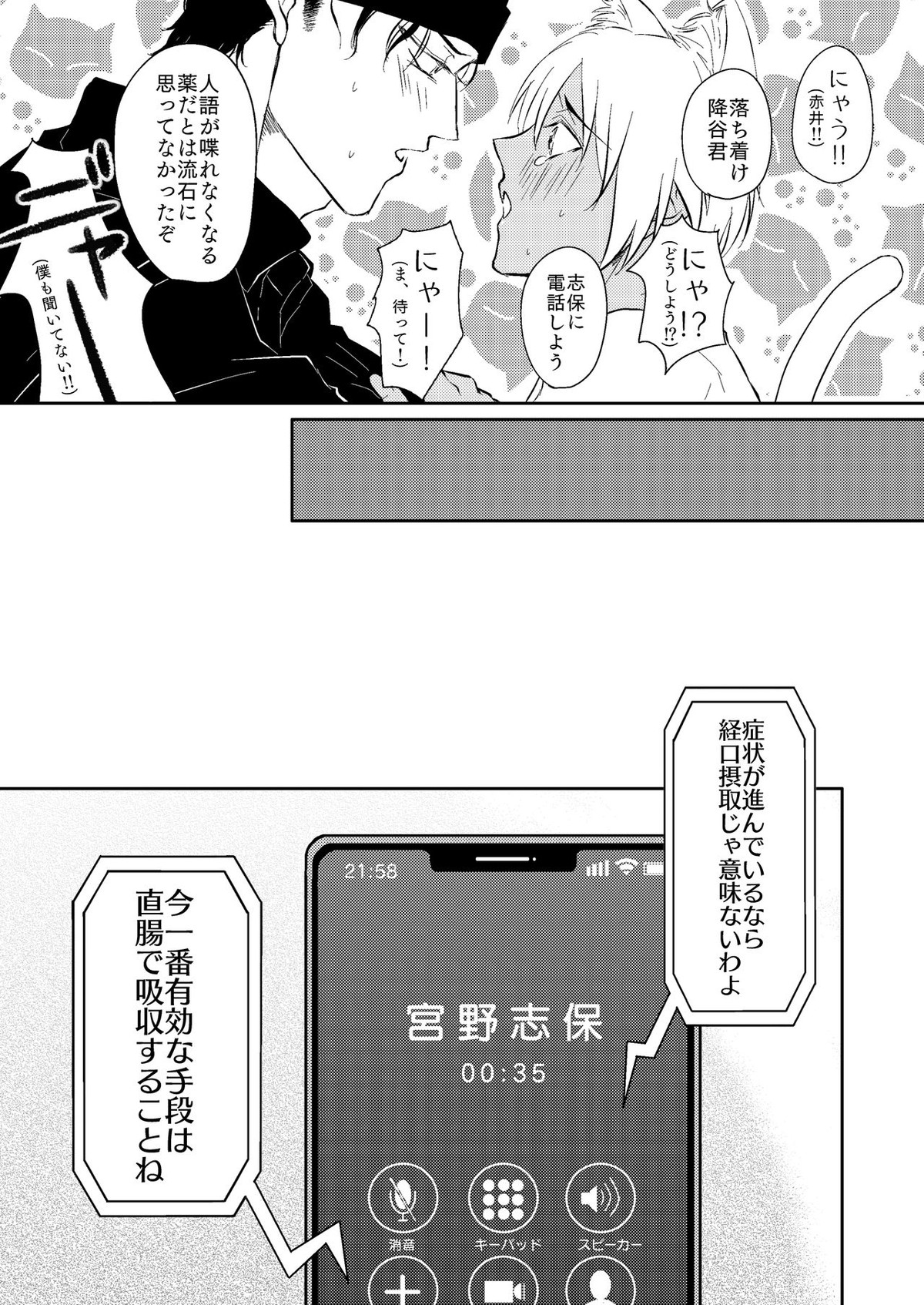 DON'T CRY MY KITTY!!【名探偵コナン/赤降(赤井×降谷)】 page 12