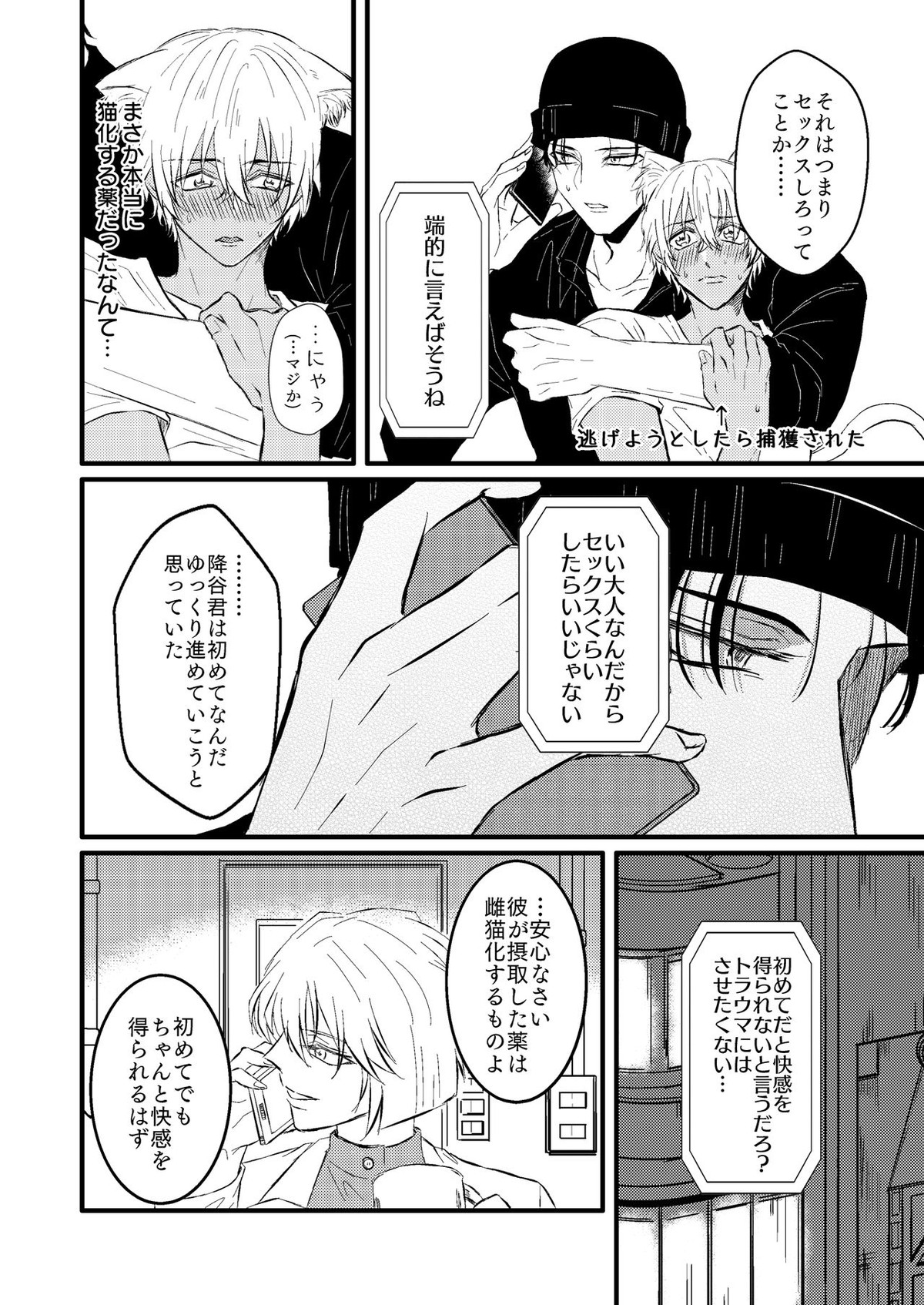 DON'T CRY MY KITTY!!【名探偵コナン/赤降(赤井×降谷)】 page 13