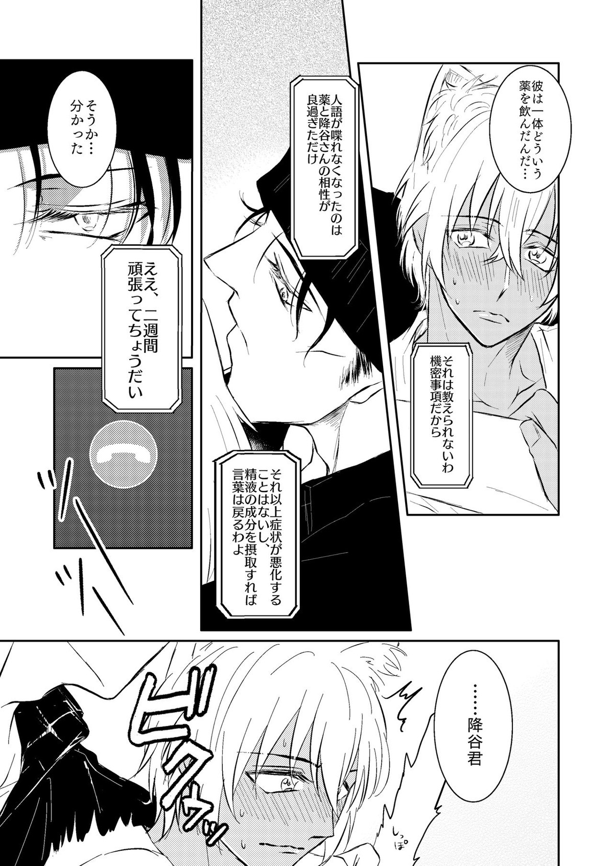 DON'T CRY MY KITTY!!【名探偵コナン/赤降(赤井×降谷)】 page 14