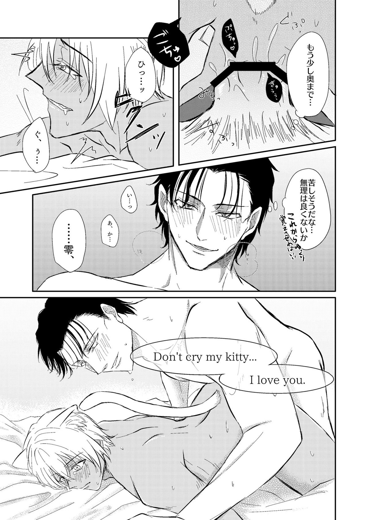 DON'T CRY MY KITTY!!【名探偵コナン/赤降(赤井×降谷)】 page 26